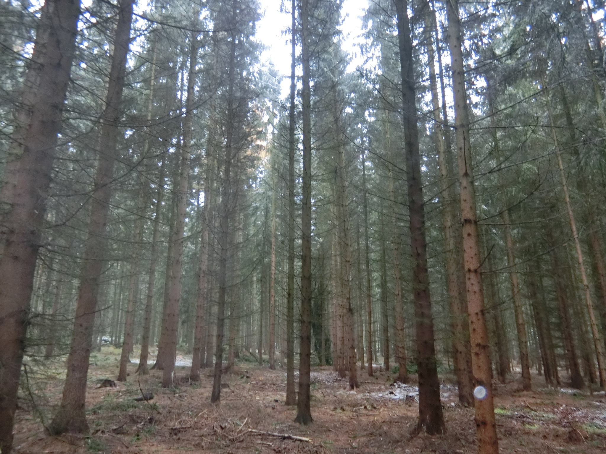 2CA472CA-9393-4E30-B70B-1AF13100B61C