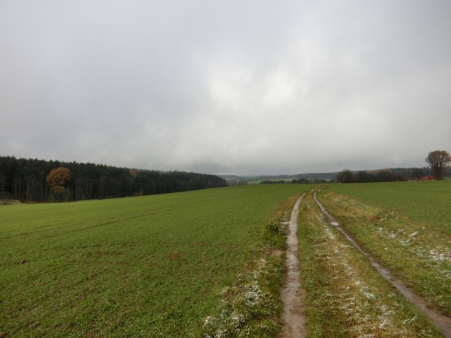 55E5ABF0-2469-4555-89CF-4E2FD38556D0